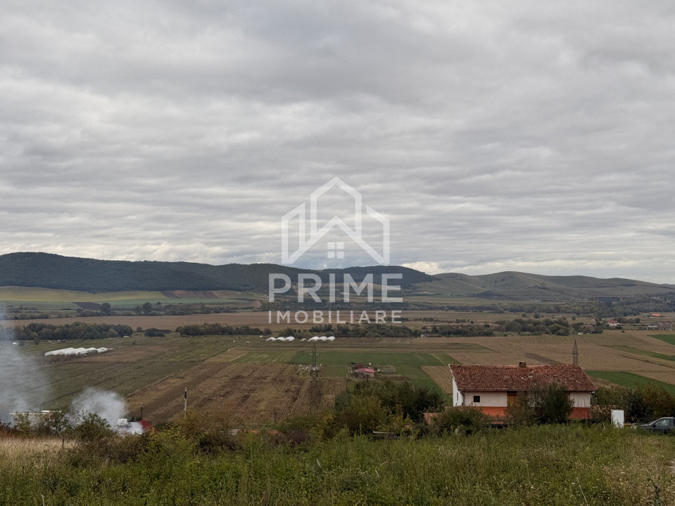 Terenuri de vanzare Micesti 3