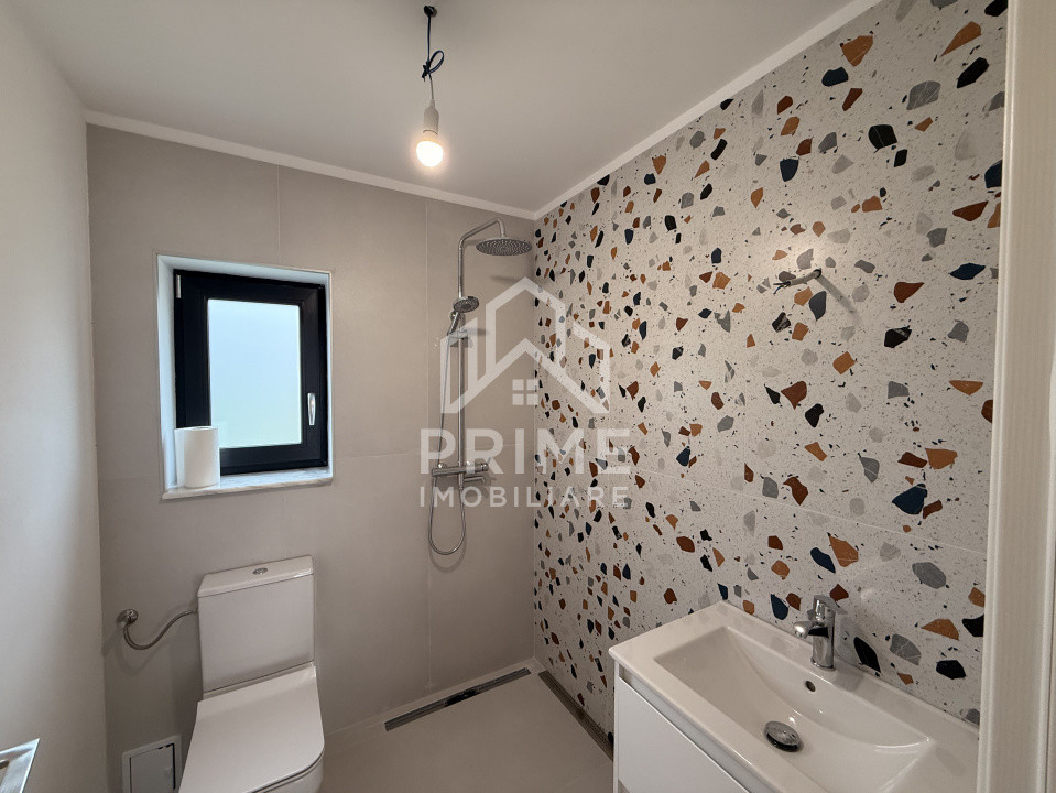 Case de vanzare Micesti 5