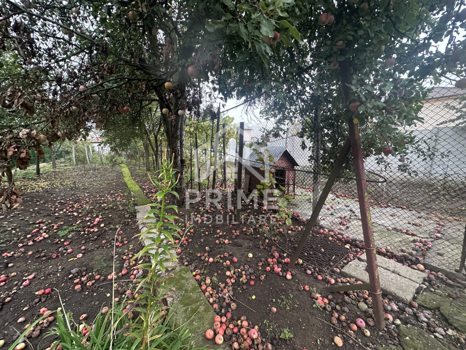 Case de vanzare Alba Iulia Cetate 11