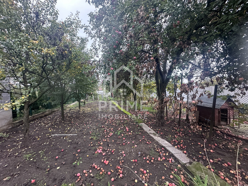 Case de vanzare Alba Iulia Cetate 12