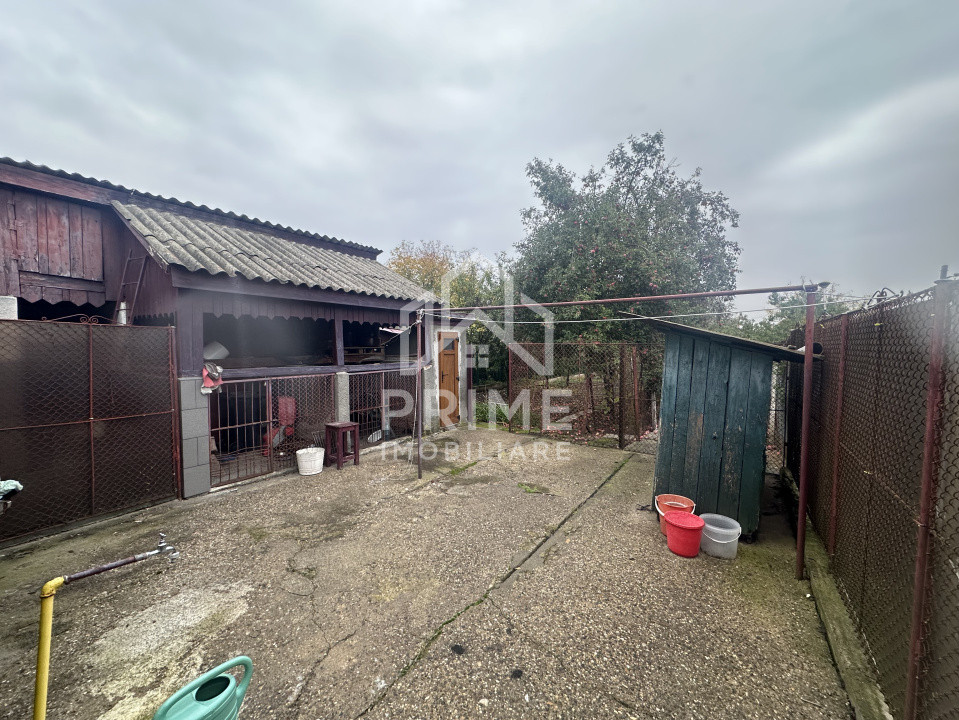 Case de vanzare Alba Iulia Cetate 13