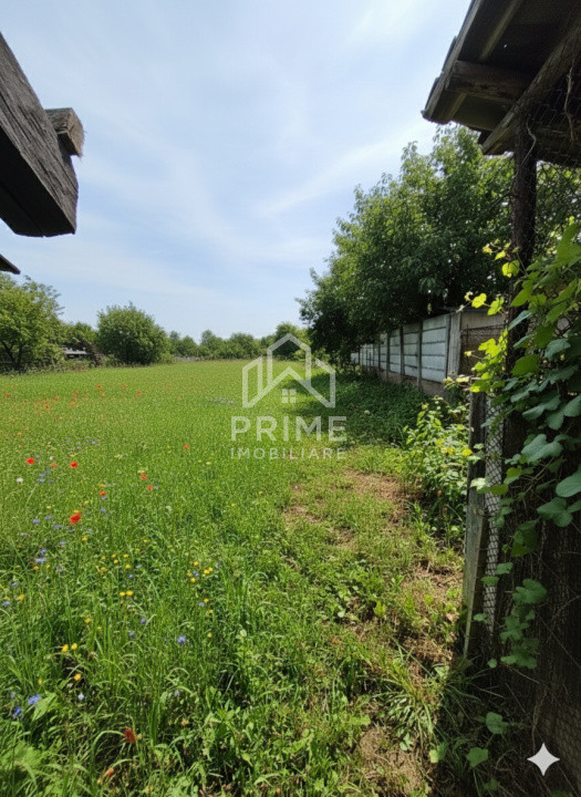 Case de vanzare Alba Iulia Cetate 3