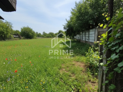 Case de vanzare Alba Iulia Cetate imagine mica 3