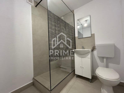 Case de vanzare Sebes Drumul Petrestiului imagine mica 12