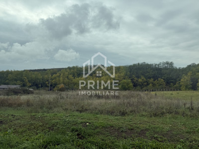 Teren intravilan 2100 mp | UTILITATI | Teleac | 3 fronturi |