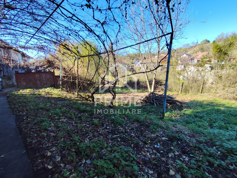 Case de vanzare Blaj 10