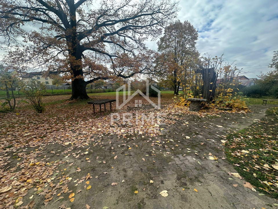 Terenuri de vanzare Vintu de Jos 2