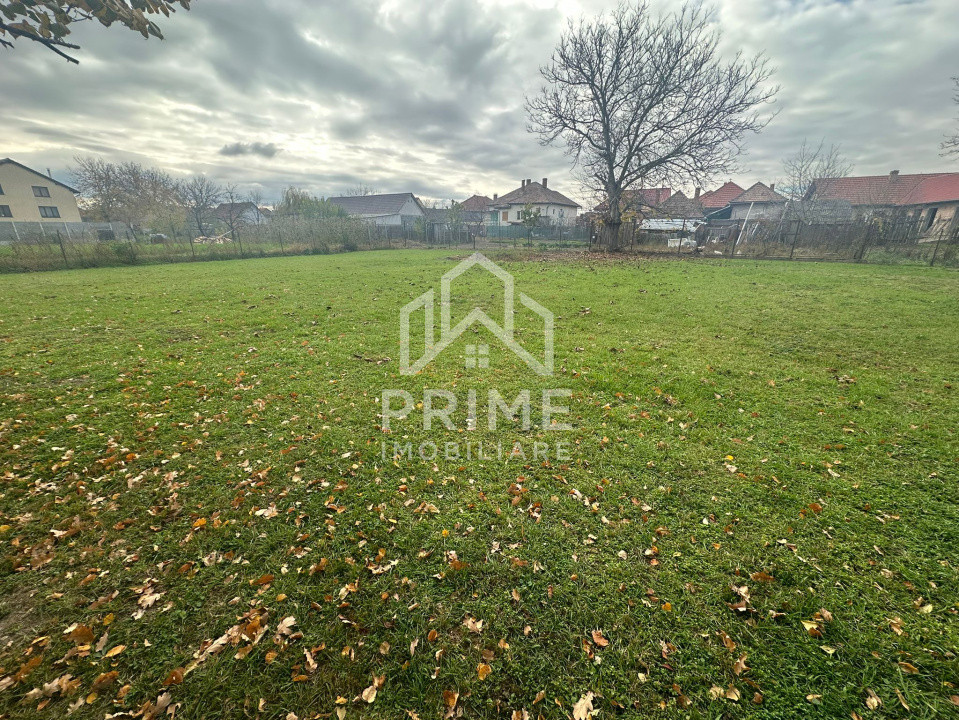 Terenuri de vanzare Vintu de Jos 3