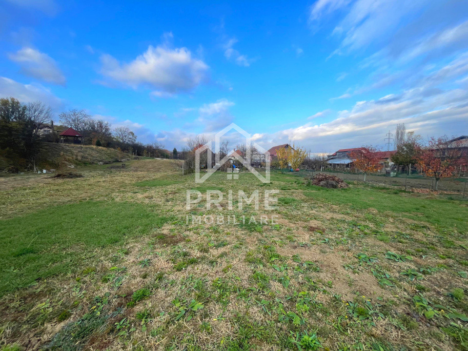 Terenuri de vanzare Paclisa Central 2
