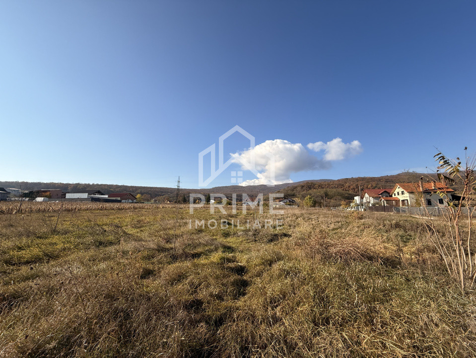 Terenuri de vanzare Micesti 1