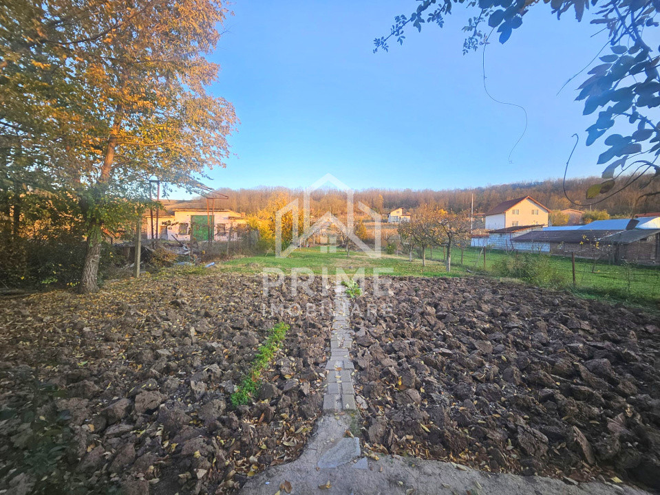 Terenuri de vanzare Ciugud Central 1