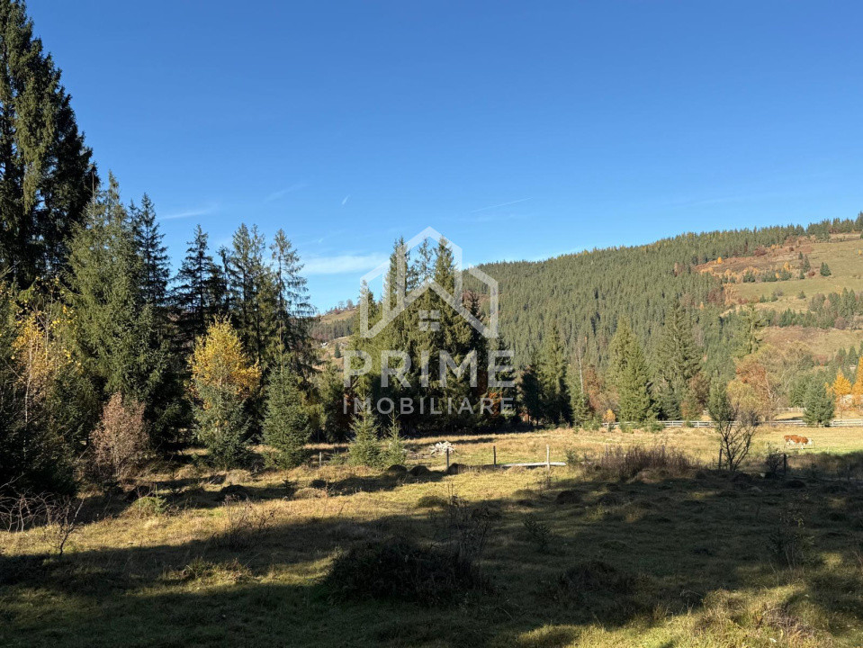 Terenuri de vanzare Galbena 3