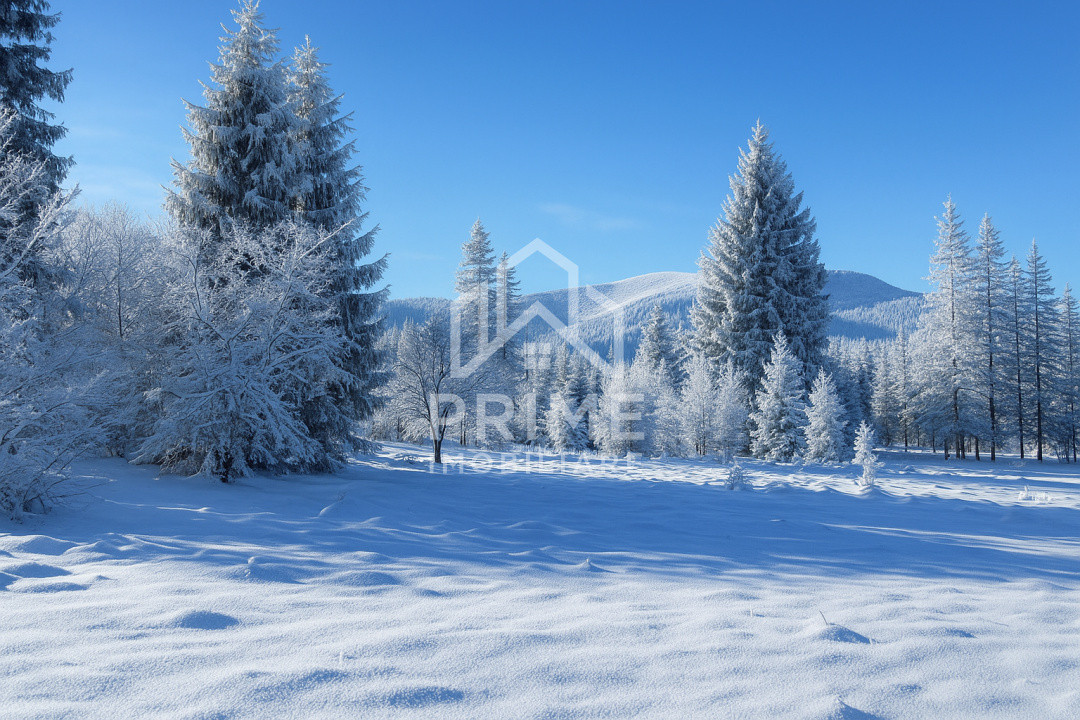 Terenuri de vanzare Galbena 4