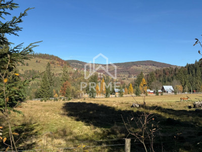 Terenuri de vanzare Galbena imagine mica 2