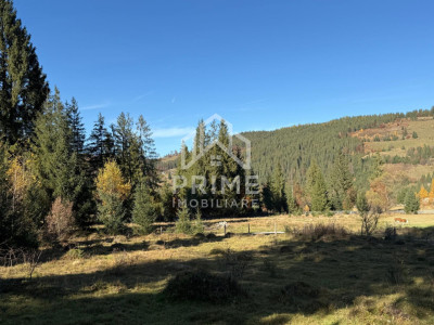 Terenuri de vanzare Galbena imagine mica 3