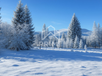 Terenuri de vanzare Galbena imagine mica 4