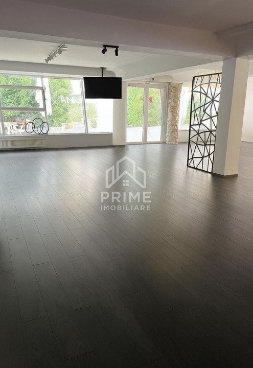 Spatii comerciale de vanzare Alba Iulia Cetate 1