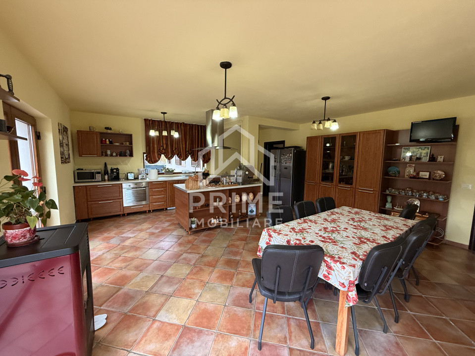 Case de vanzare Alba Iulia 9