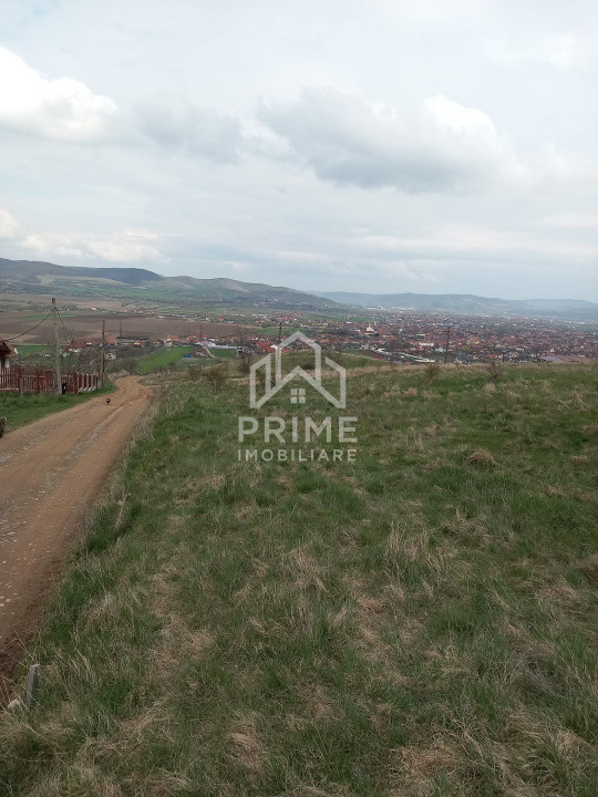 Terenuri de vanzare Alba Iulia Central 1