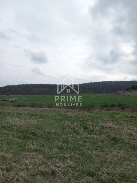 Terenuri de vanzare Alba Iulia Central 2