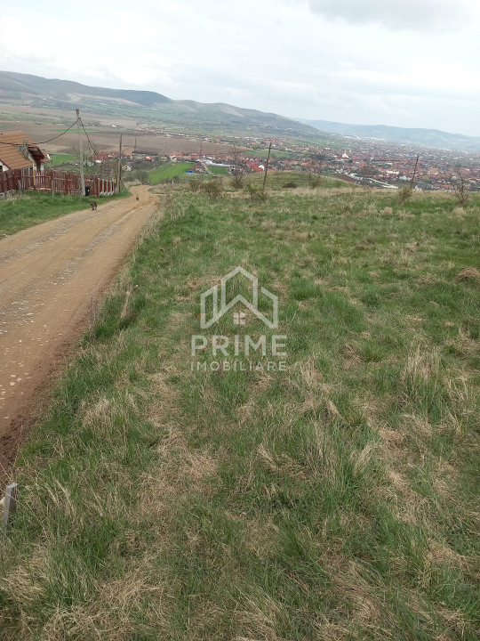 Terenuri de vanzare Alba Iulia Central 3