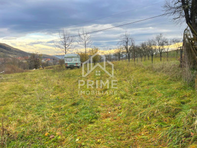 Teren intravilan cu livadă | 1785 mp | Paclisa | Alba Iulia