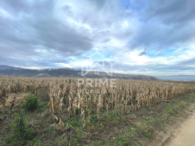 Teren extravilan | 3400 mp | Paclisa | Alba Iulia