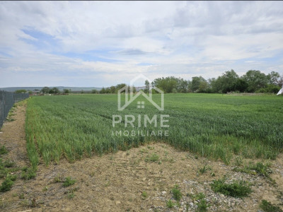 Terenuri de vanzare Alba Iulia Exterior Nord imagine mica 2