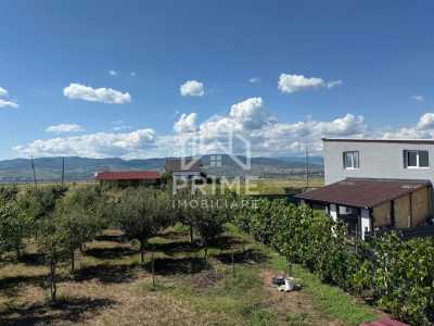 Terenuri de vanzare Oarda imagine mica 7