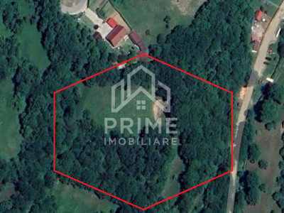 Teren 12000 mp in intravilanul Strungari pentru cabana, A-frame sau retreat.