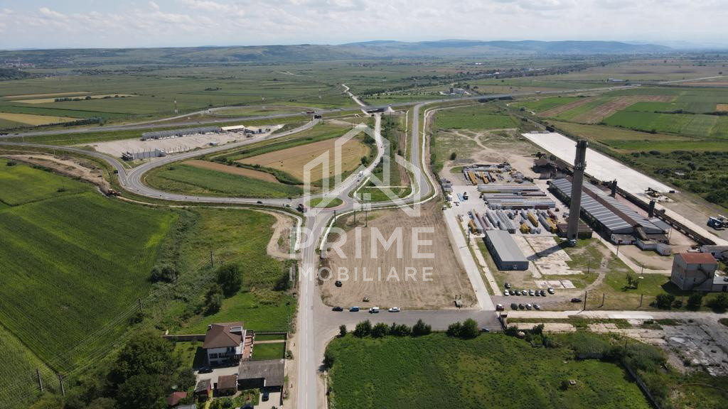 Terenuri de vanzare Teius 4