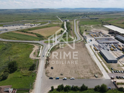 Terenuri de vanzare Teius imagine mica 1