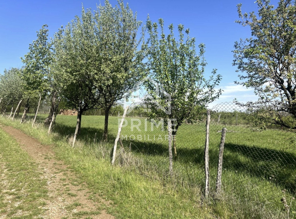 Terenuri de vanzare Alba Iulia Cetate 4