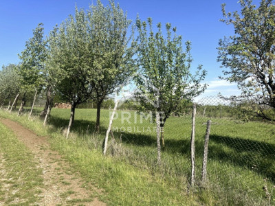 Terenuri de vanzare Alba Iulia Cetate imagine mica 4