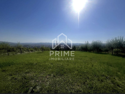 Terenuri de vanzare Alba Iulia Cetate imagine mica 5