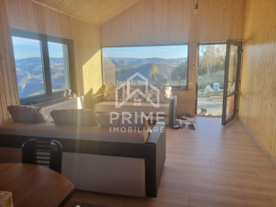 Case de vanzare Loman Central imagine mica 3