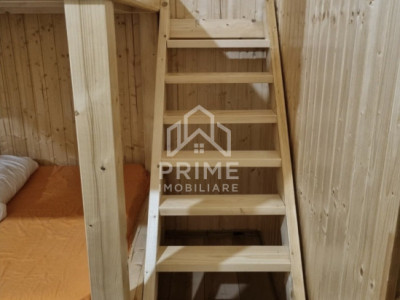 Case de vanzare Loman Central imagine mica 8