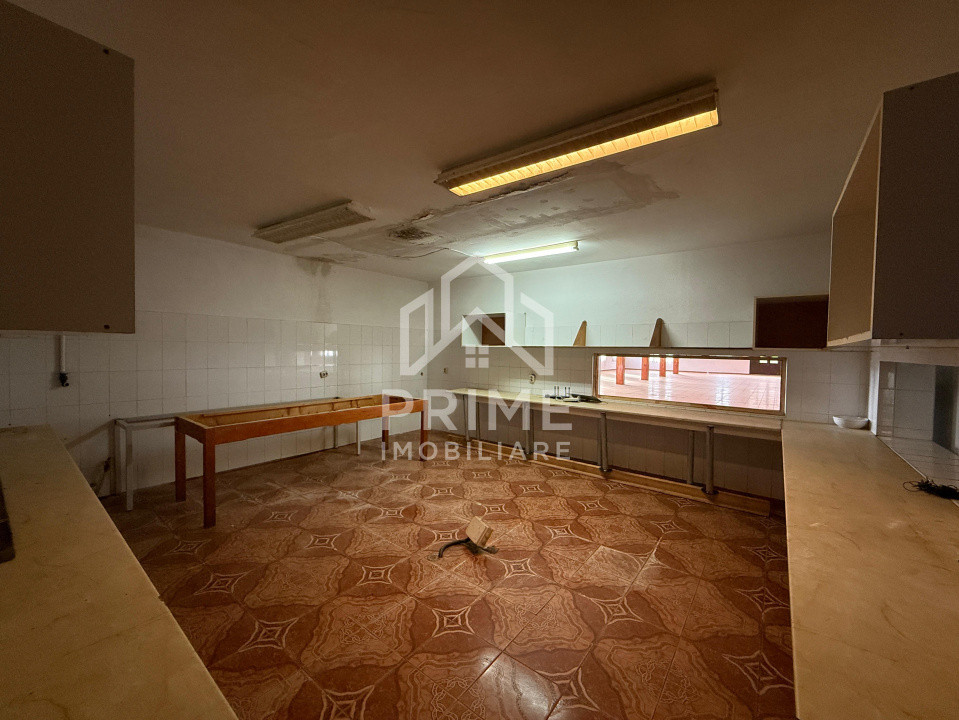 Spatii comerciale de inchiriat Vintu de Jos 12