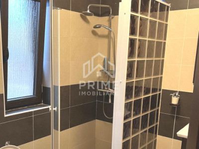 Case de vanzare Alba Iulia Micesti imagine mica 13