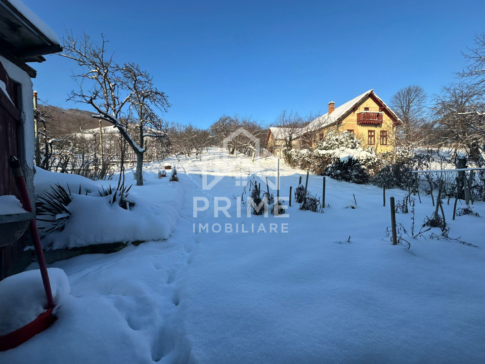 Case de vanzare Cugir Central 9