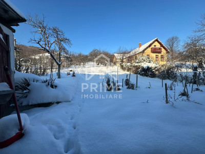 Case de vanzare Cugir Central imagine mica 9