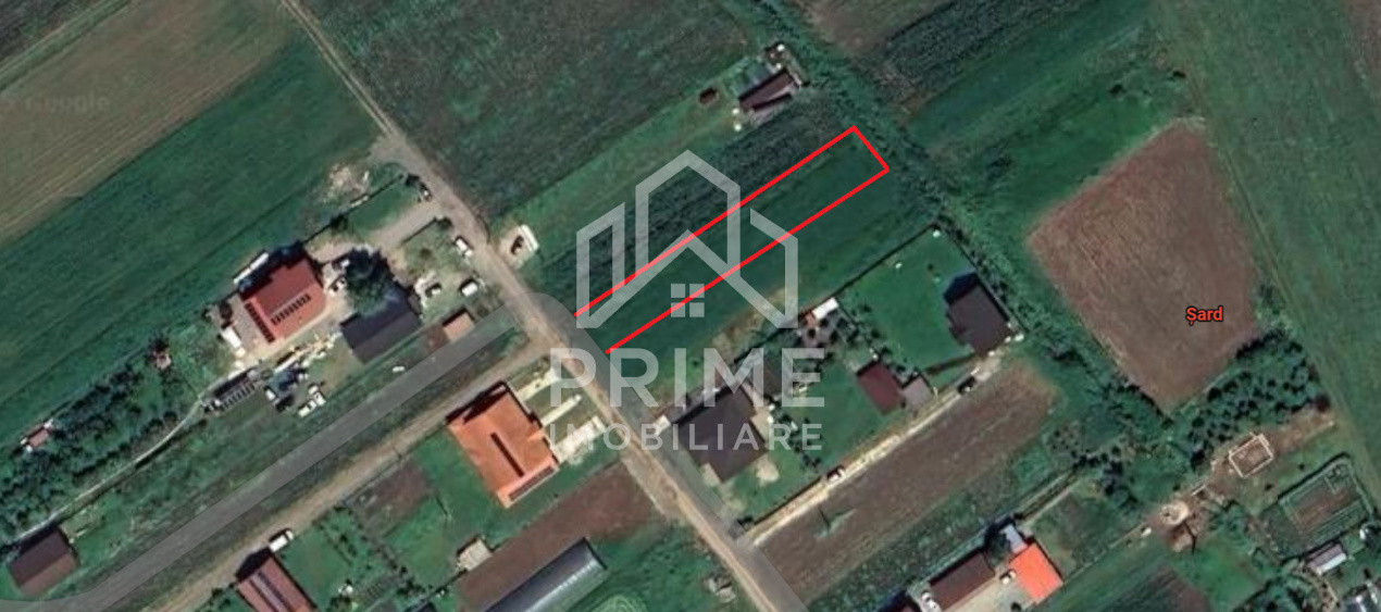 Terenuri de vanzare Sard 1
