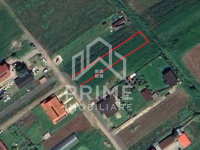 Terenuri de vanzare Sard imagine mica 1