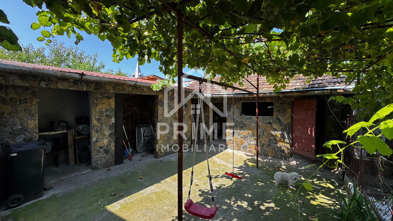 Case de vanzare Teius 13