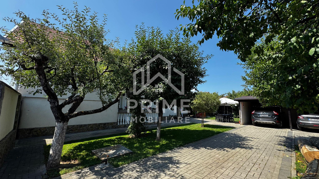 Case de vanzare Teius 14