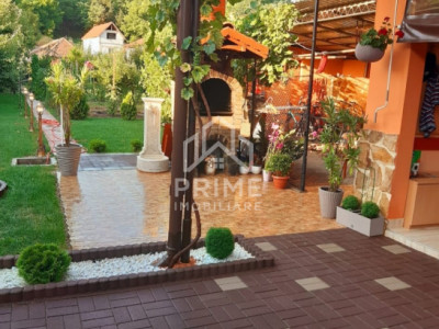 Case de vanzare Blaj imagine mica 8