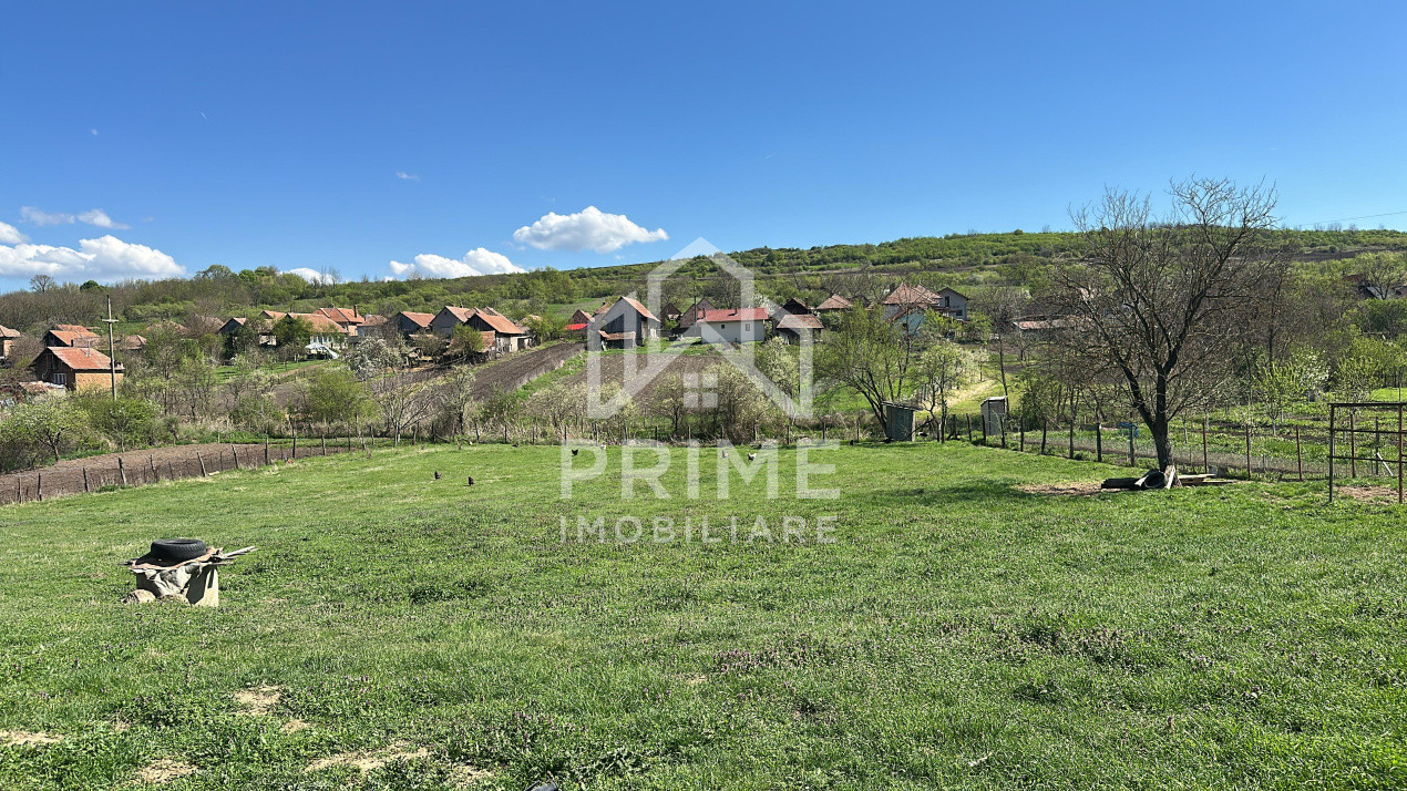 Terenuri de vanzare Henig 1