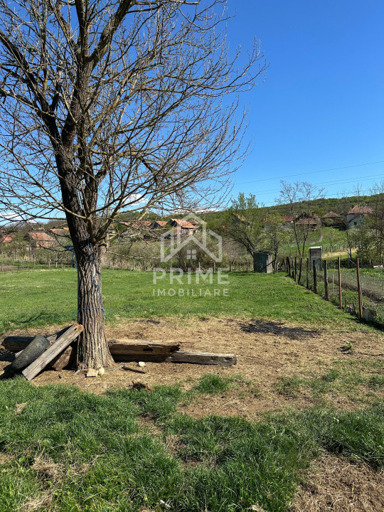 Terenuri de vanzare Henig 2