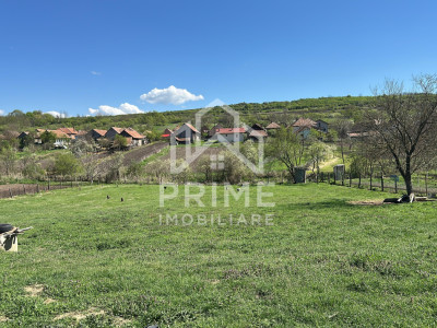 Terenuri de vanzare Henig imagine mica 1