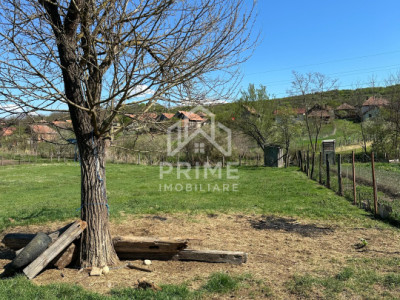 Terenuri de vanzare Henig imagine mica 2